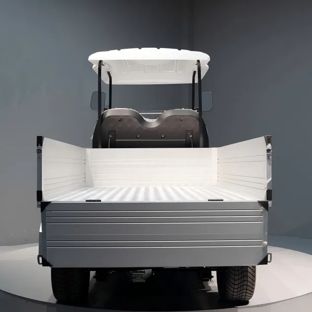 Electric Golf Cart Rear View