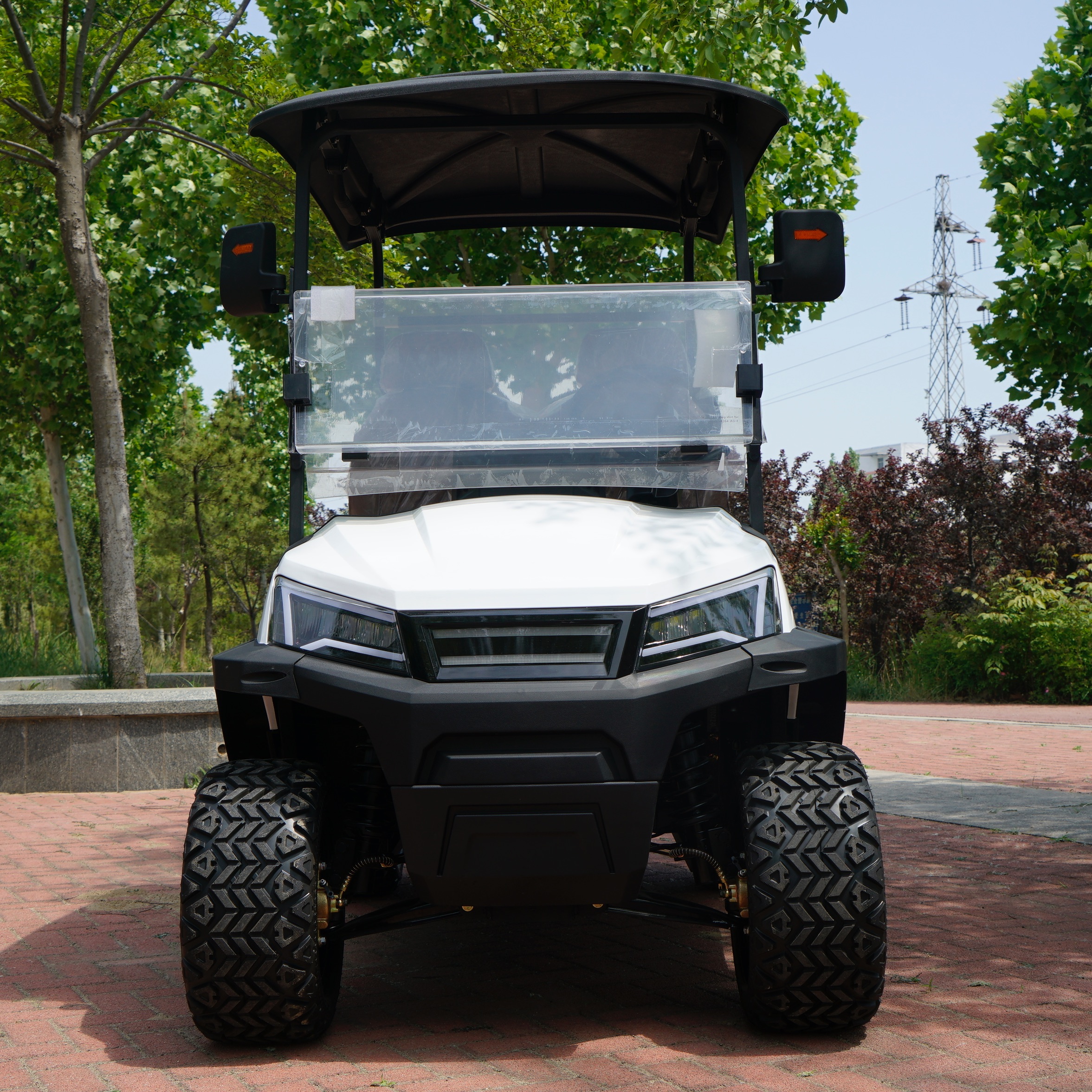 Best Quality 2 Seater Golf Carts Electric Strong Power Mini Golf Buggy for Country Club Life-long Service 4 Wheel Golf Car Price
