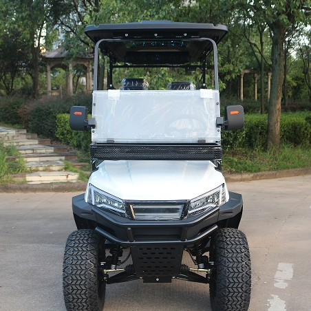 Lvzo Brand Golf Cart-Premium Comfort Meets Unmatched Performance