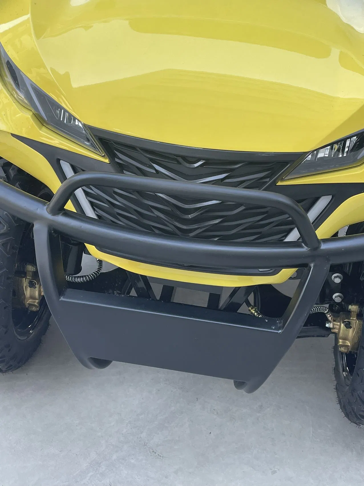 Stong Power Long Distance Electric Golf Cart with Lithium Battery