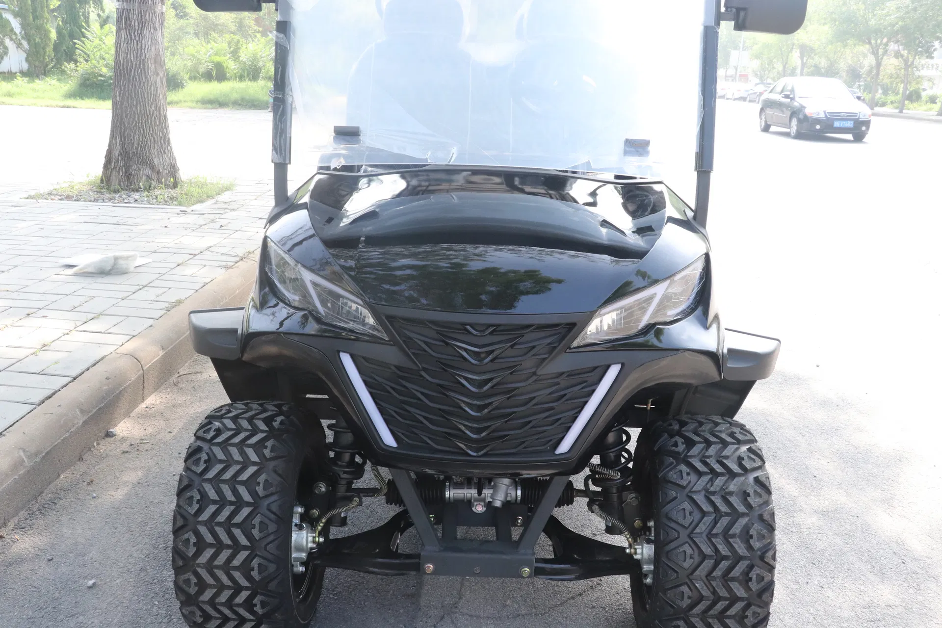 off-Road Golf Cart with Suspension for Comfort
