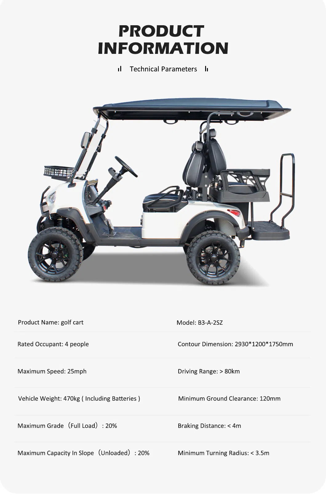 Electric Golf Cart Details