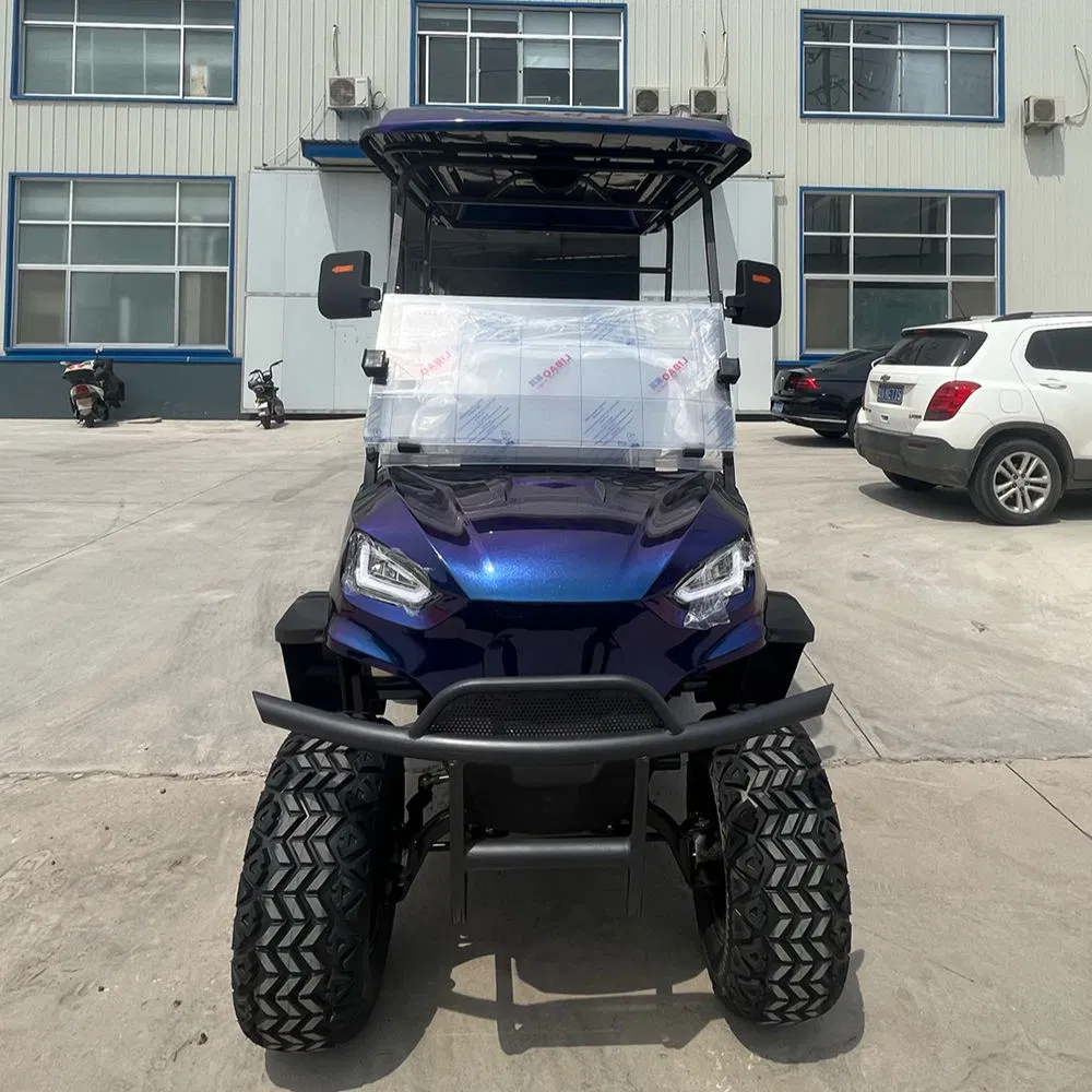 Driving-Stable Performance High Speed Capable AC 4kw Motor Driven Golf Buggies Cart