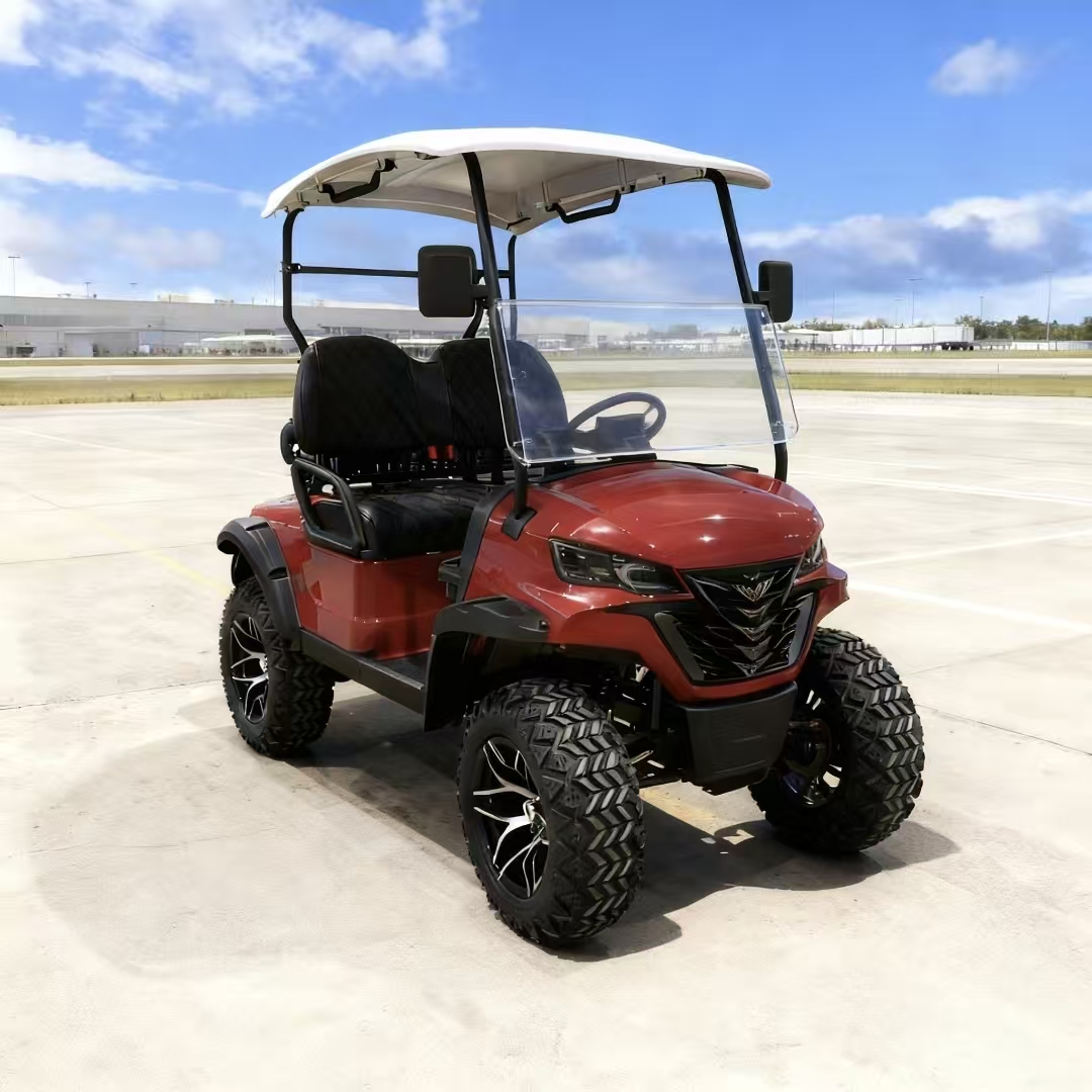 2 Seater Mini Electric Mobility Scooter Golf Cart for Sale