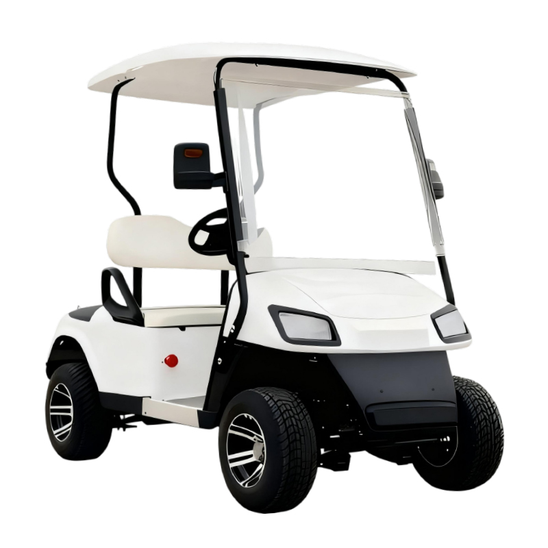 OEM Approved Mini 2 Seater 60v Battery Electric Golf Cart with 3KW AC Motor &amp; 90km Range Steel Frame for USA Bulk Purchase