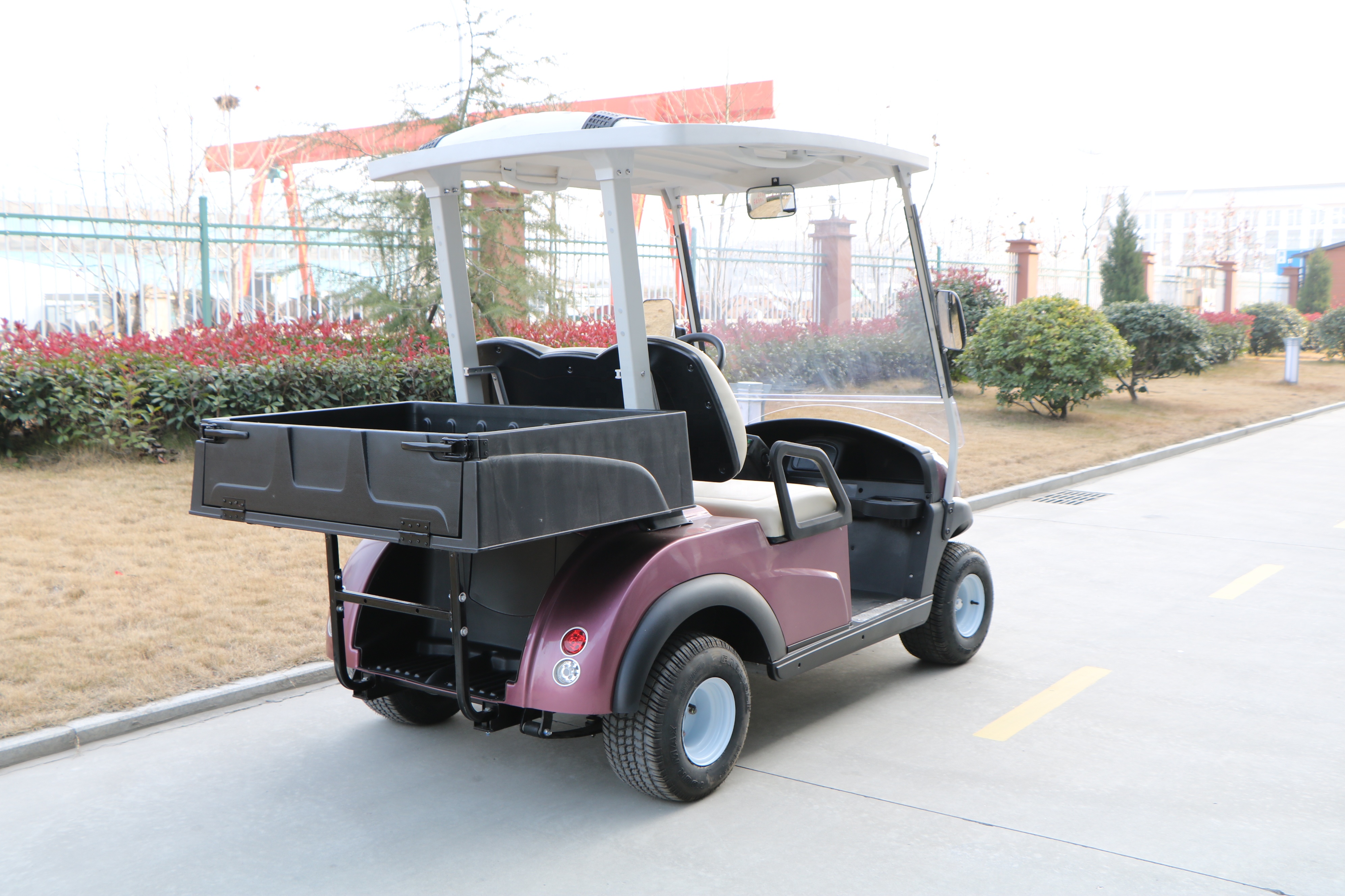 4 Wheel Lithium Battery Powered 2 Seater Electric Small Golf Cart for Sale