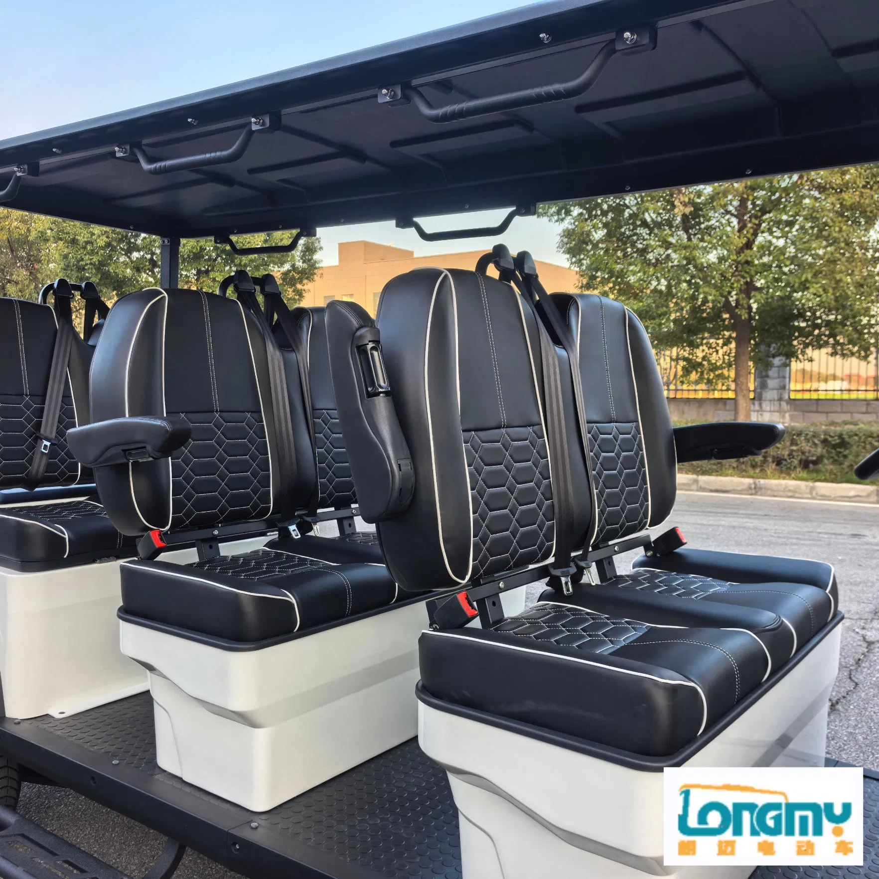 Eco-Friendly 48V AC Electric Golf Cart for Stylish Golfing