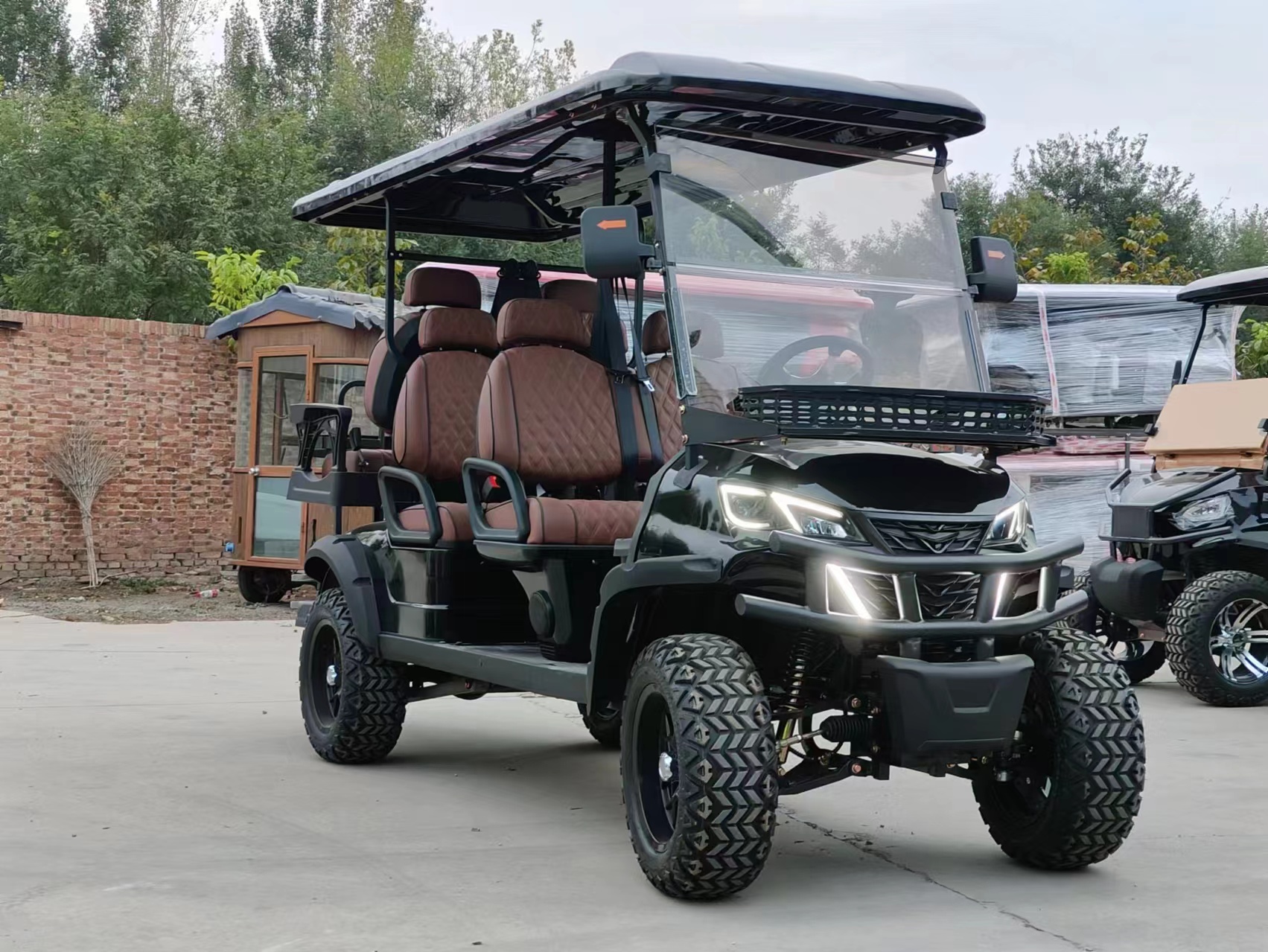 Electric Golf Carts Customized 6-Seater With Premium Seats