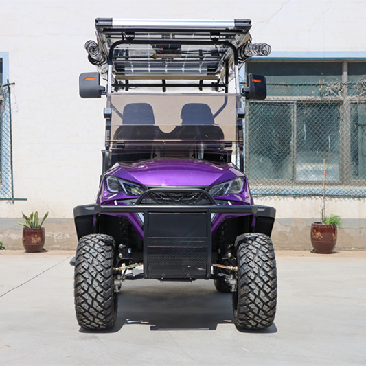 Customized Service 2+2-seater Cart Solar Panel Four Wheel Electric Golf Cart 48V Battery 50-70km Range Steel Chassis Intelligent