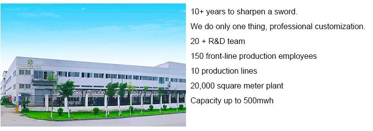 Company Introduction
