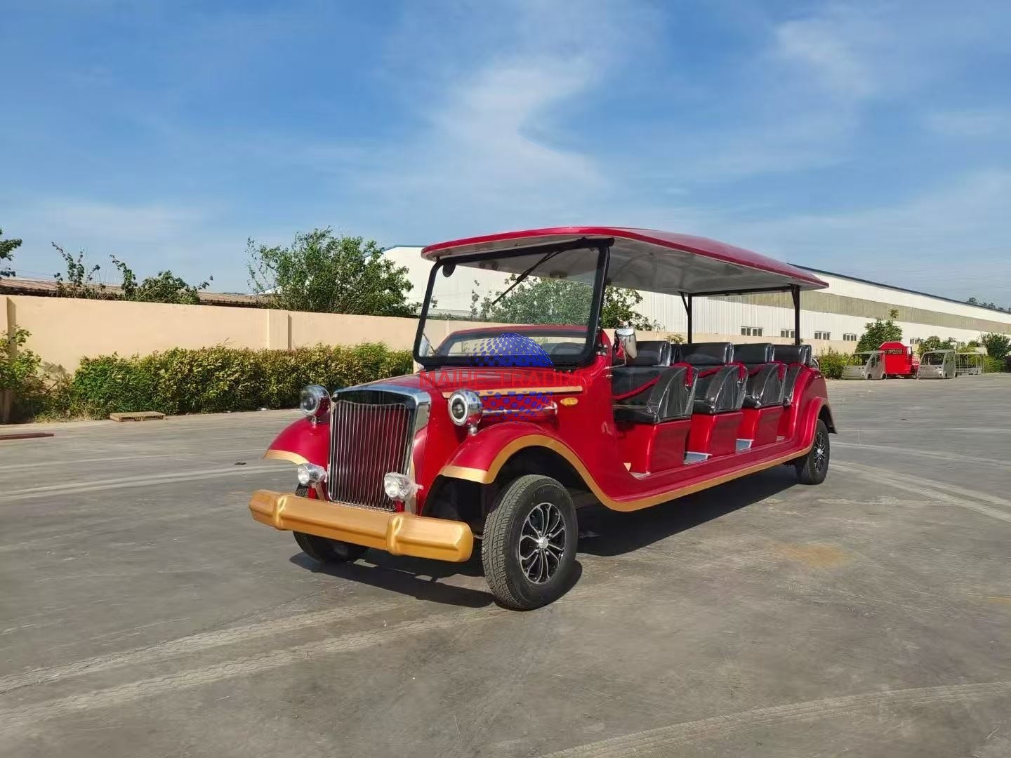 Sightseeing Car Detail 2