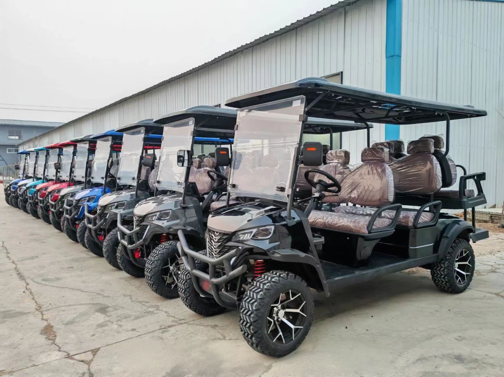 Electric Golf Cart Rear View