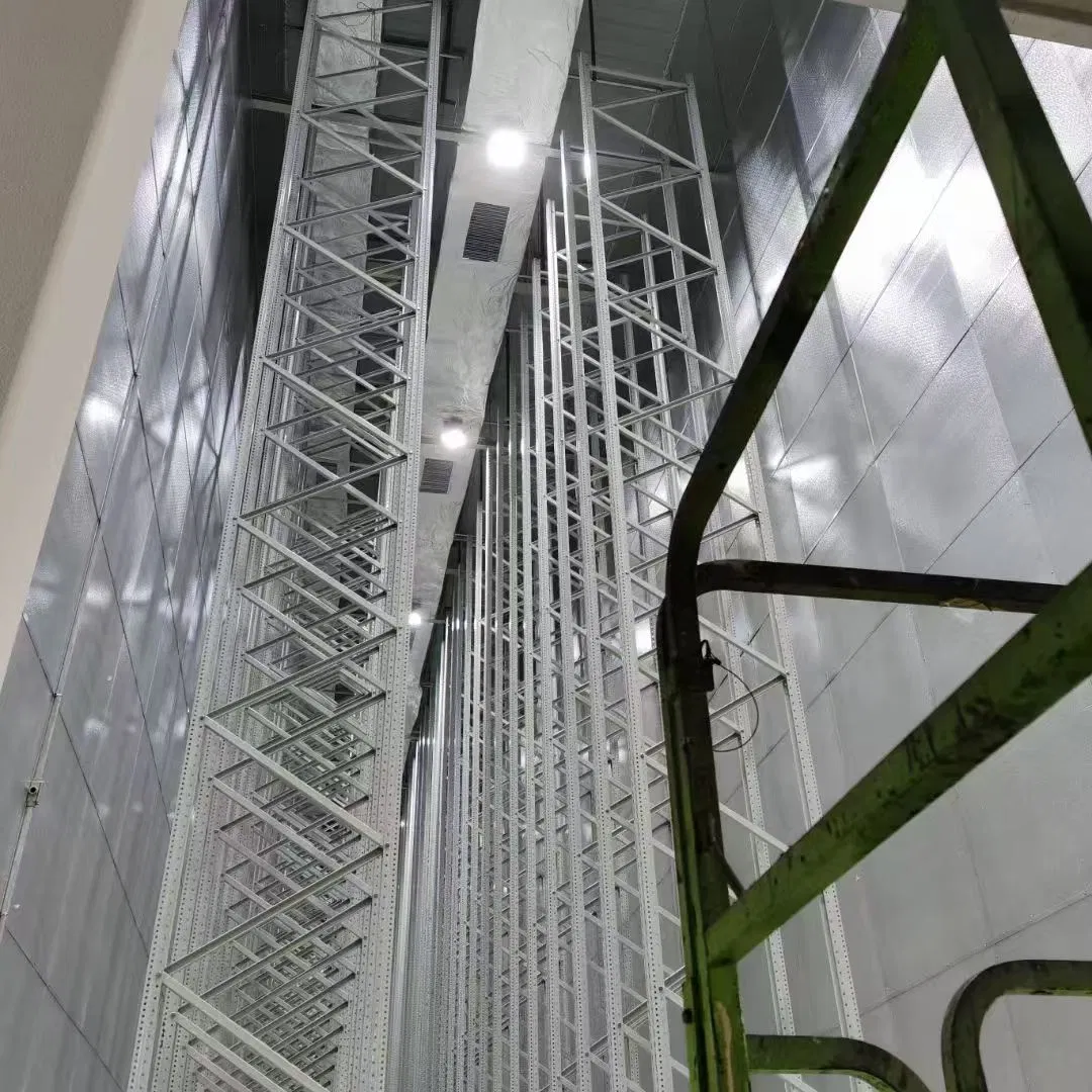 Advanced Modular as/RS System for Efficient Storage Solutions
