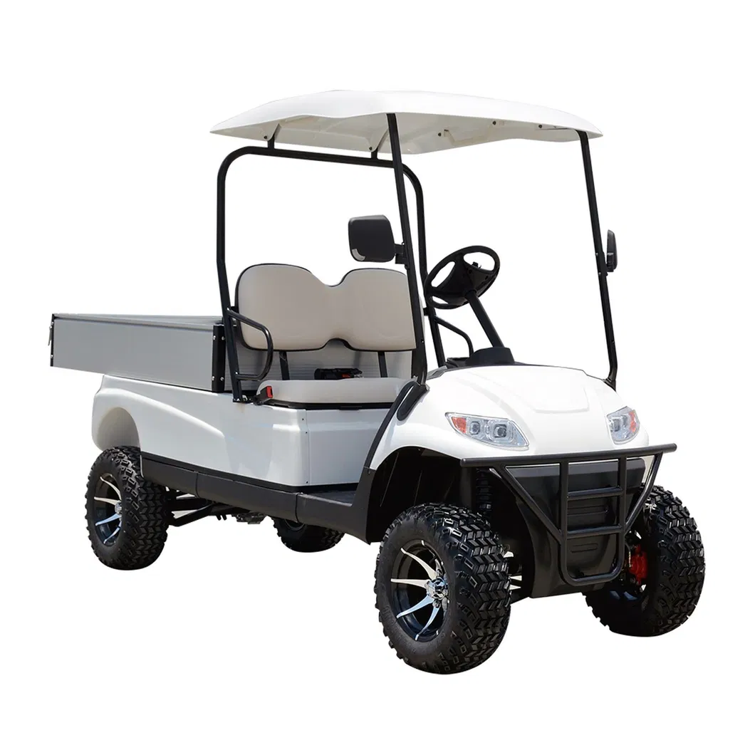 Electric Powered Utility Golf Cart Detailed View 2