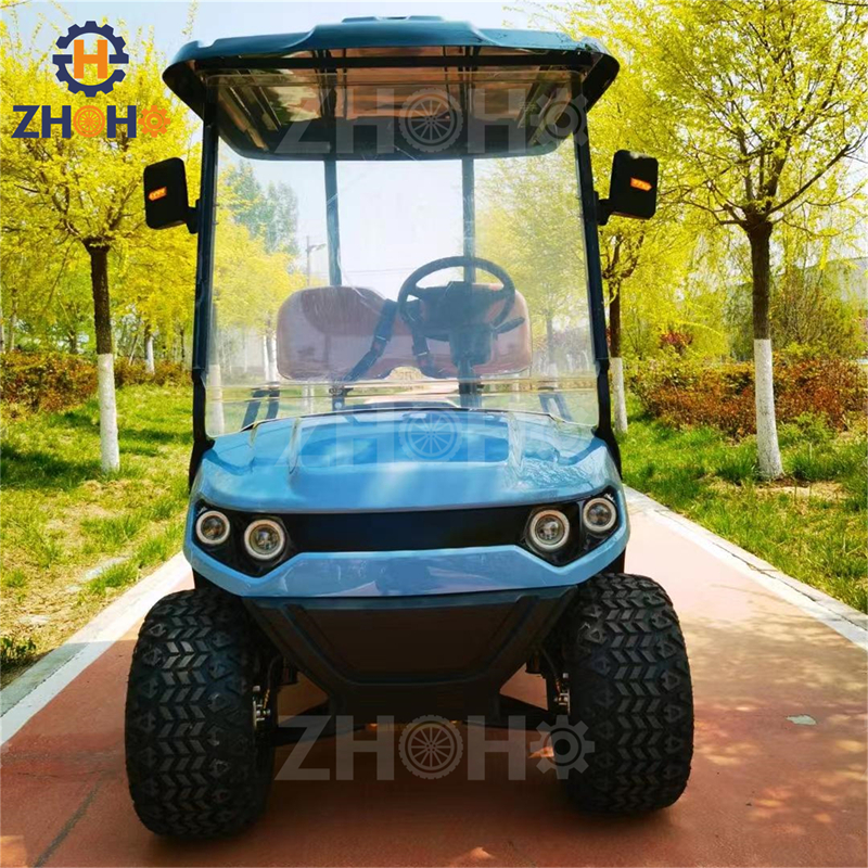 Small 2 Seater Gasoline Golf Cart US Legal Road Golf Cart Customizable