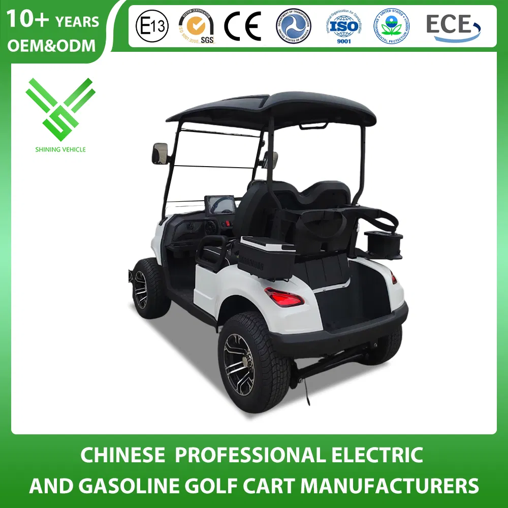 Shininglsv 2 Seat 48V Lead Acid Compact Entry Model Vehicle Golf Cart