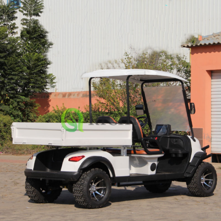 Heavy Duty Electric Golf Cart with Dump Bed 2 Seat Utility Vehicle Golf Cart Tires for Farm and Construction Work