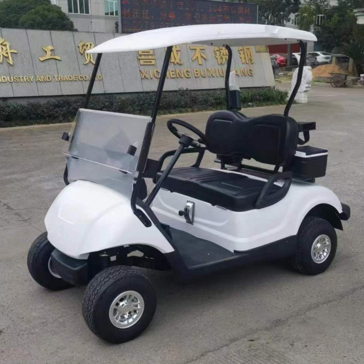 Golf Cart Feature View 2