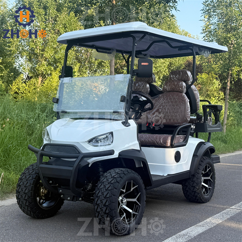 Golf Cart Custom Feature 5