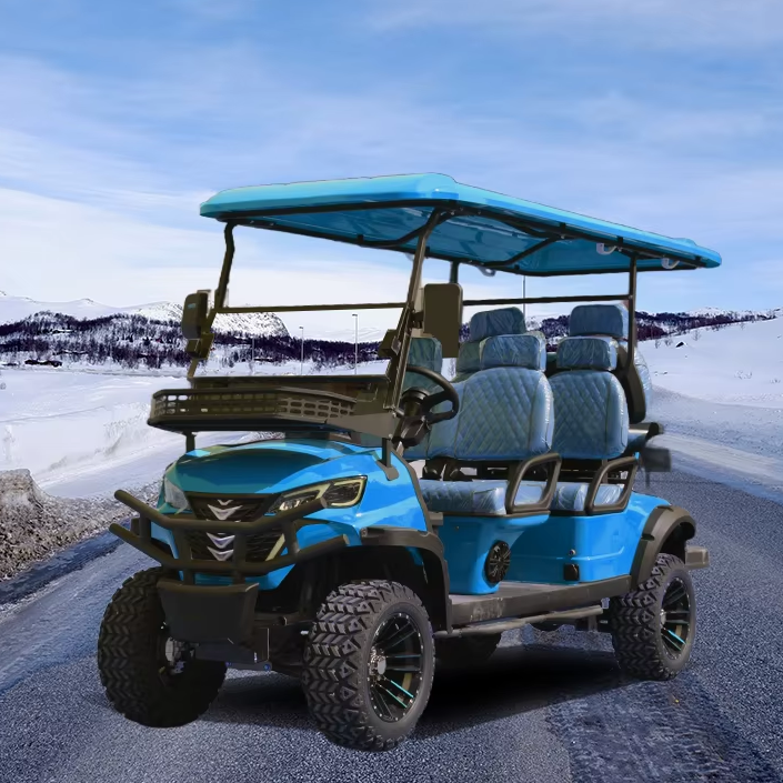 TONGCAI GPS Tracking &amp; Fleet Management 6-Seat Golf Cart for Sale