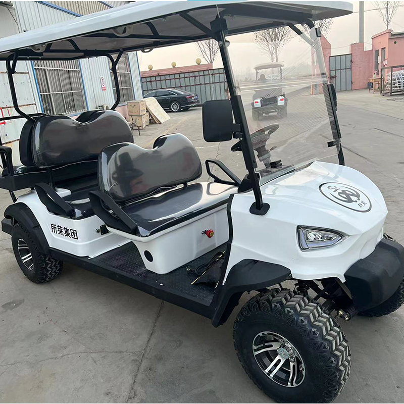 2025 New Design Black Golf Carts Electric Battery 4 6 Seater