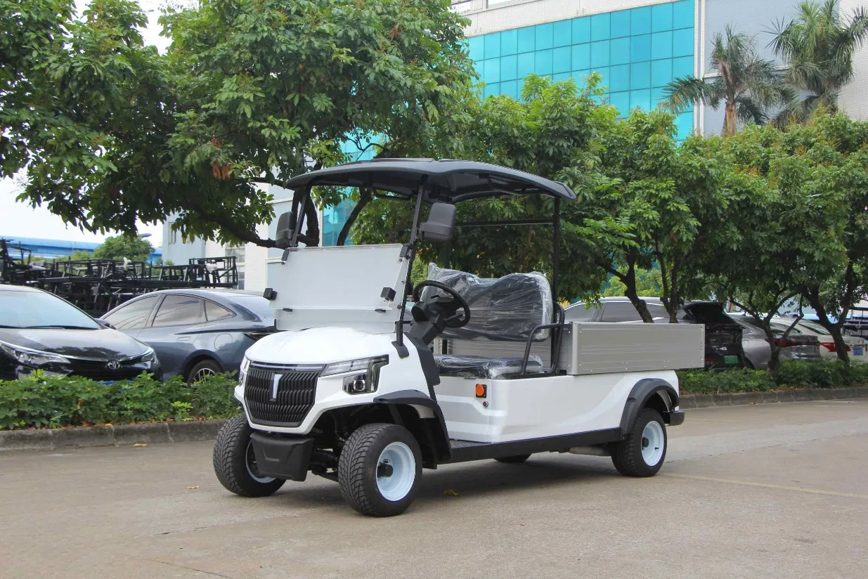 Electric Utility Cart with Fixed Cargo Box 48V Motor 2 Seater Golf Cart Mini Truck