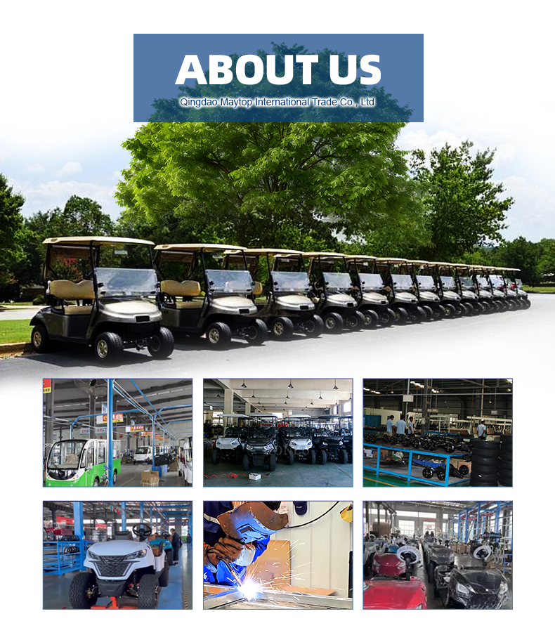 Electric vehicle customized solution