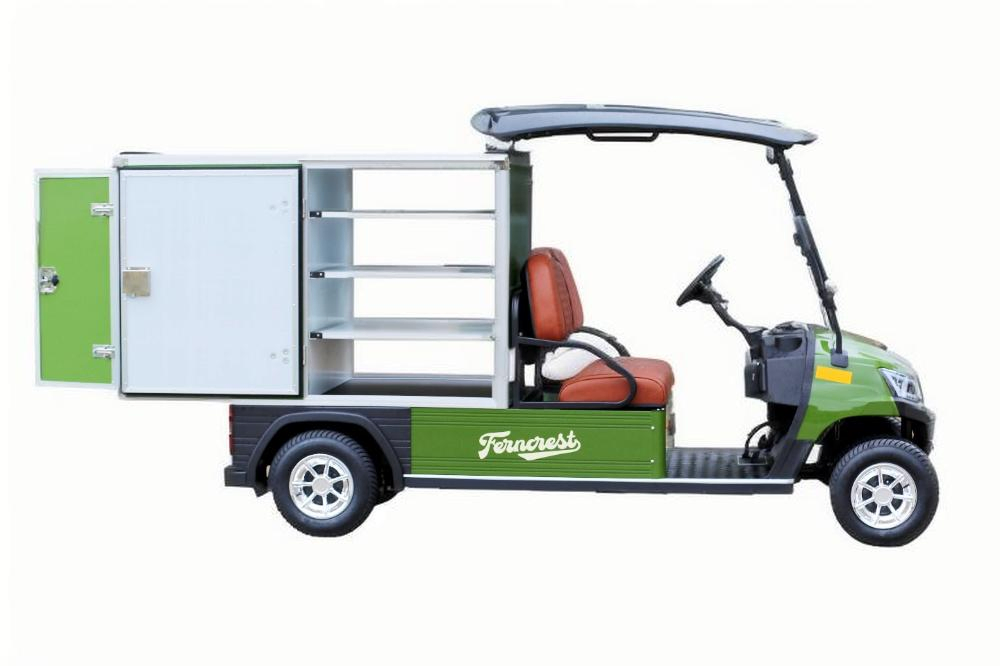 2 Person Rear Cargo Box Utility Electric Golf Carts