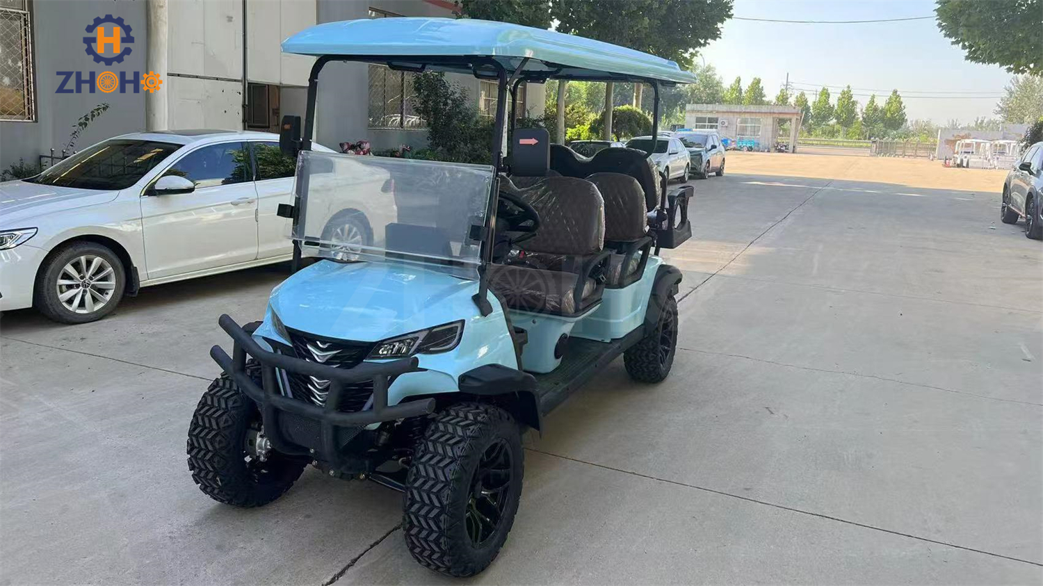 Golf Cart Detail 6