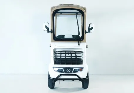 Luxurious A2 Dual-Brake Electric Golf Buggies Cart for 45km Long