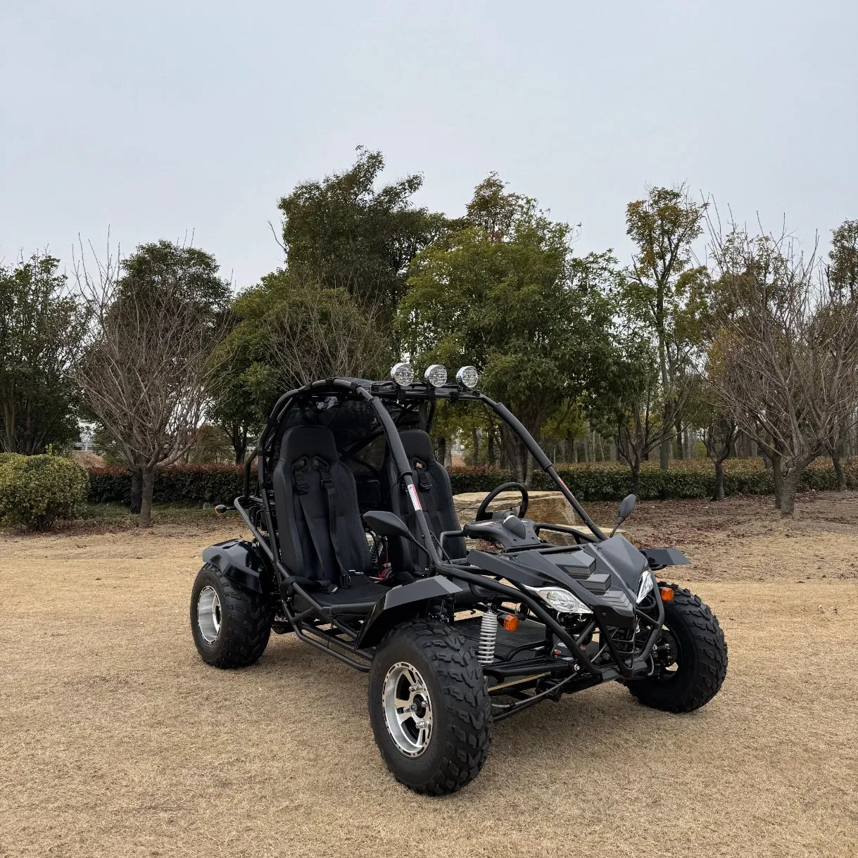 off Road Adult Beach Quad Bike Jaguar 200 Go Cart Efi
