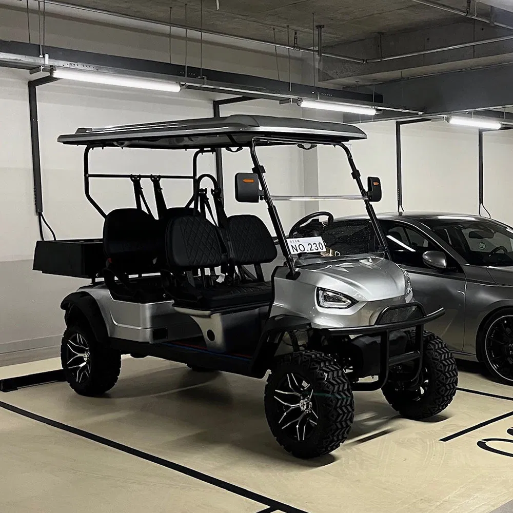 Driving-Stable Performance High Speed Capable AC 4kw Motor Driven Golf Buggies Cart