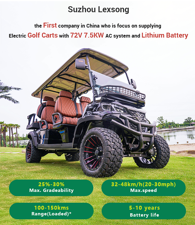 Electric Golf Cart Display