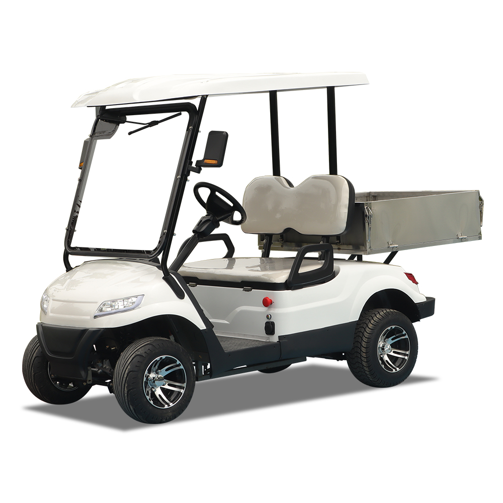 Electric Golf Cart Details