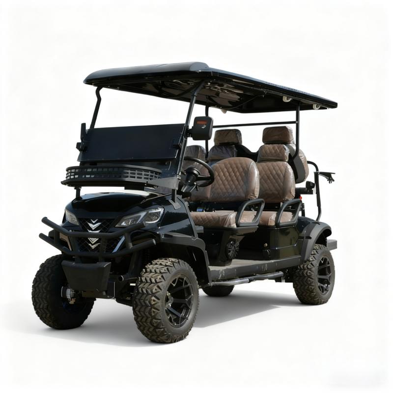Electric Golf Cart Feature 4