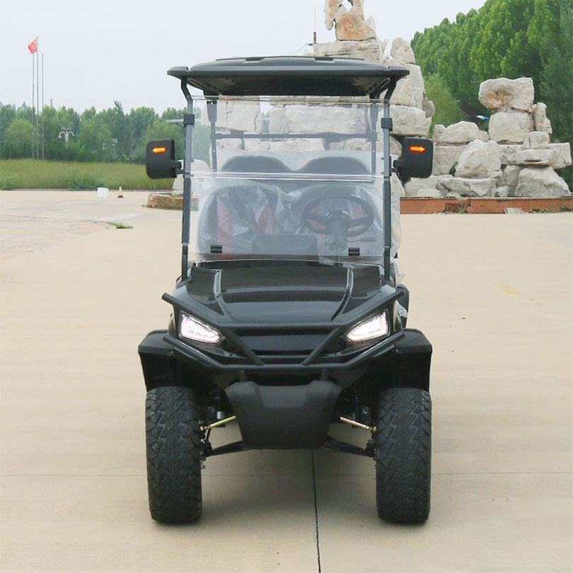 Luxury Design Street Legal Electric 6 Seater Golf Cart with 48V Battery Accept Customization Golf Car