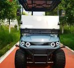 High Performance Golf Cart 4 Seater Electric High Speed City off Road Golf Car for Sales