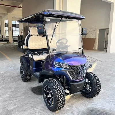 Electric Golf Cart Interior View
