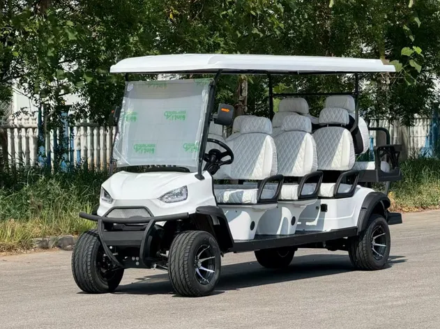 Spacious 8-Seater Golf Carts Details 1