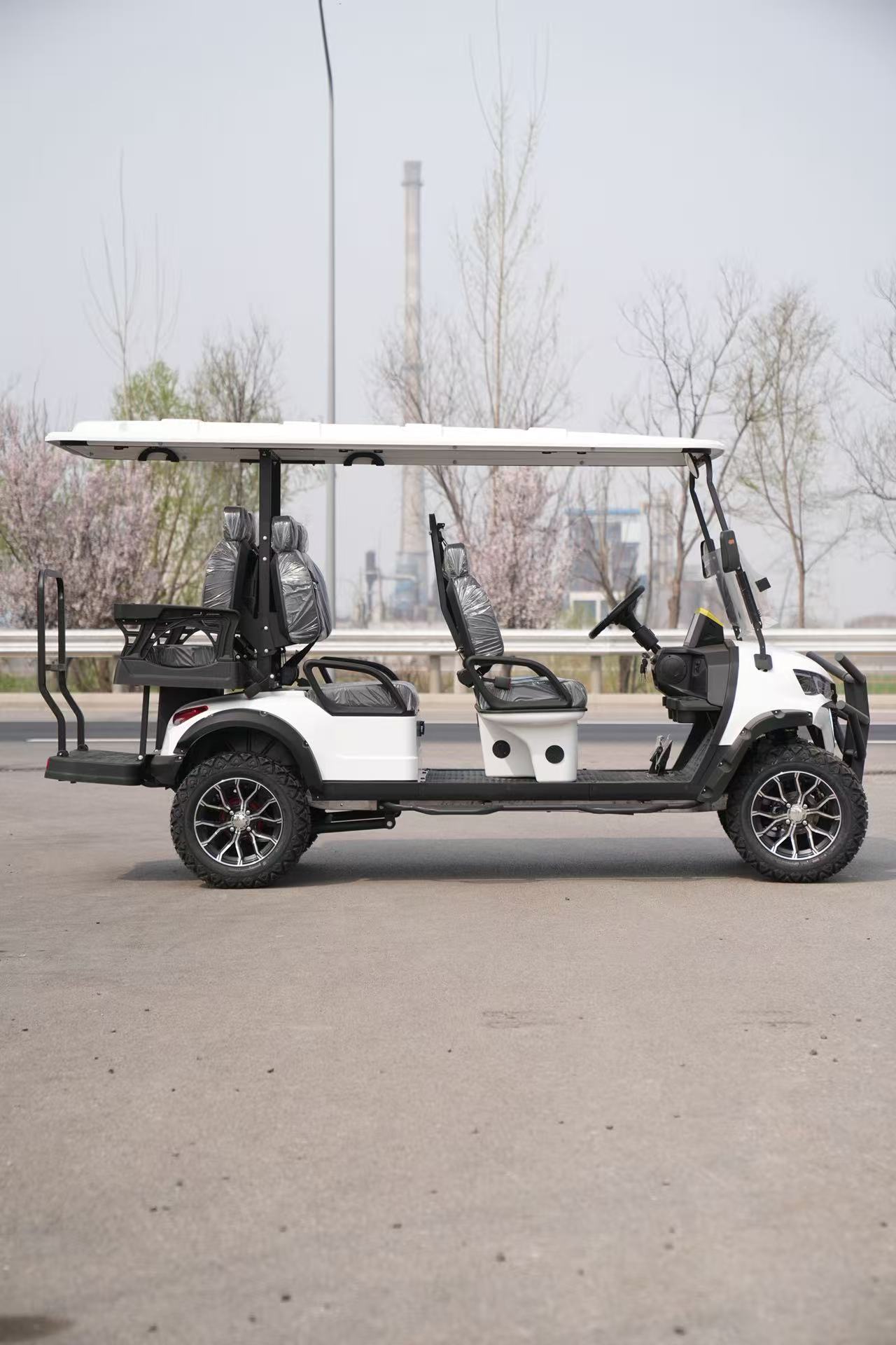 High Torque 6 Seater Golf Scooter/Golf Cart 220V Battery 4WD Rugged Terrain Enhanced Suspension CE Certified Hunting Patrol