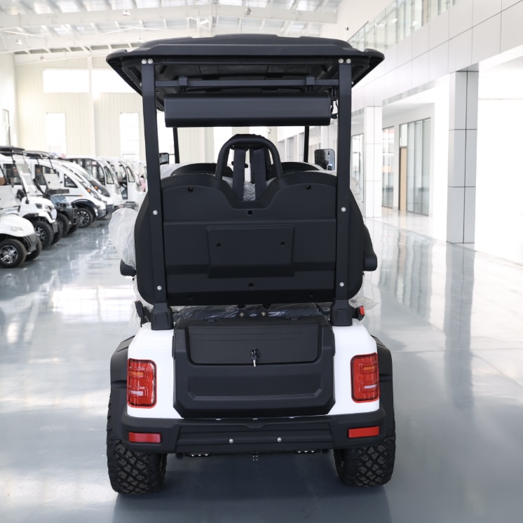 2B Factory 2026 Simple Golf Cart with Backrest | Customizable Colors for Fleet Order