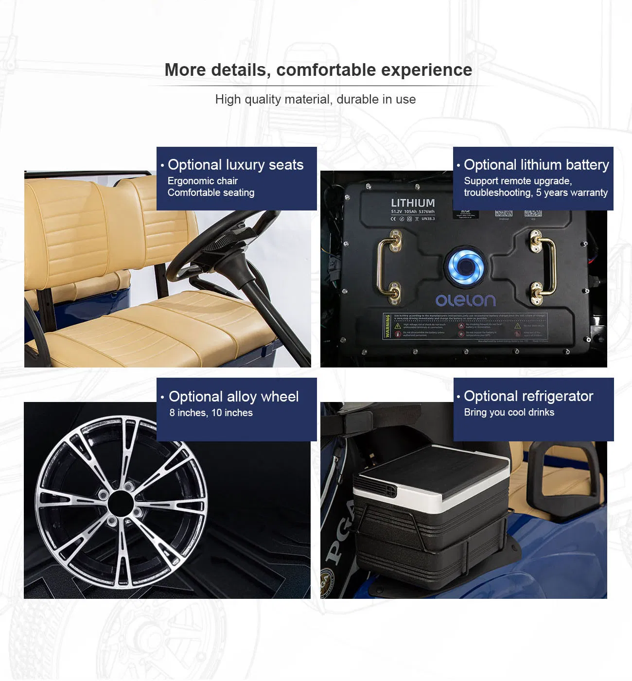 Electric Golf Cart Feature 5