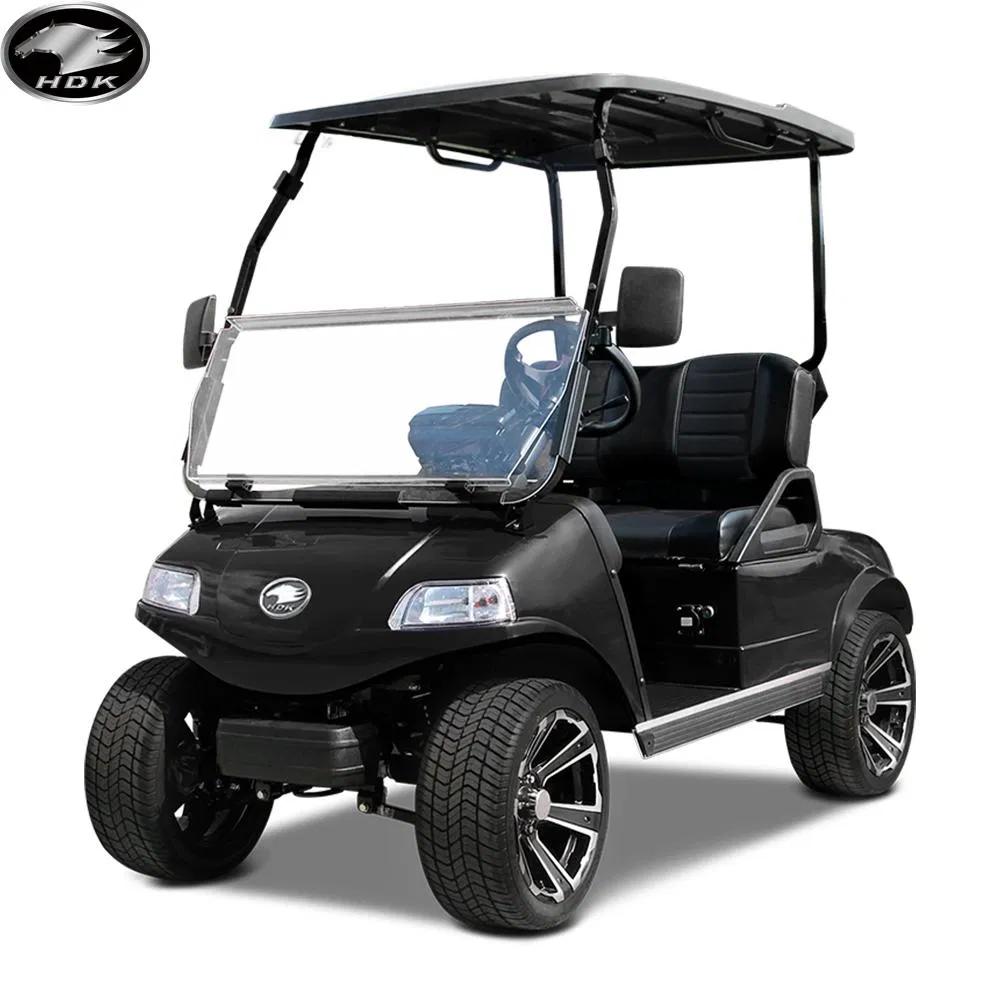 Electric 2-Seater High-Performance Low-Speed Golf Cart details