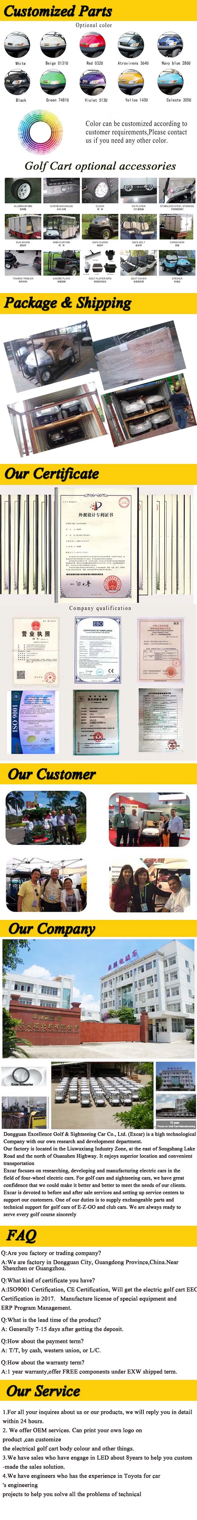 Ce Approved 2 Seater Utility Electric Golf Cart Detailed Specifications Infographic