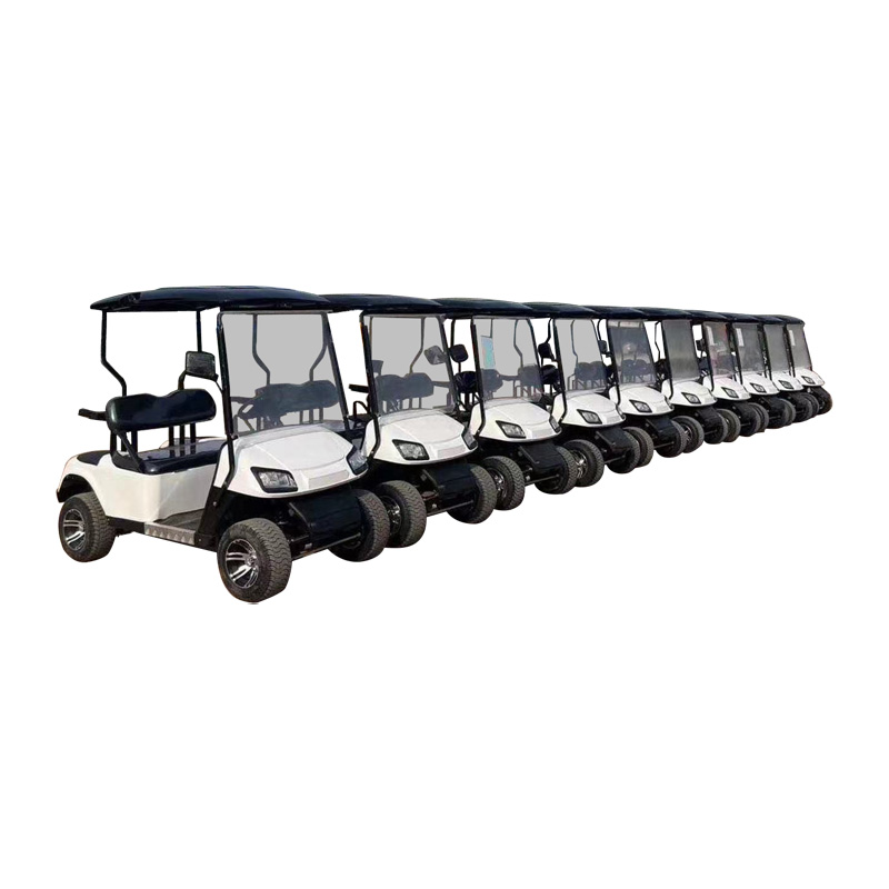 Sharefer Club Golf Cart Custom Electric Street Legal Golf Cart 2 Seater Off-road Electric Lifted Golf Cart
