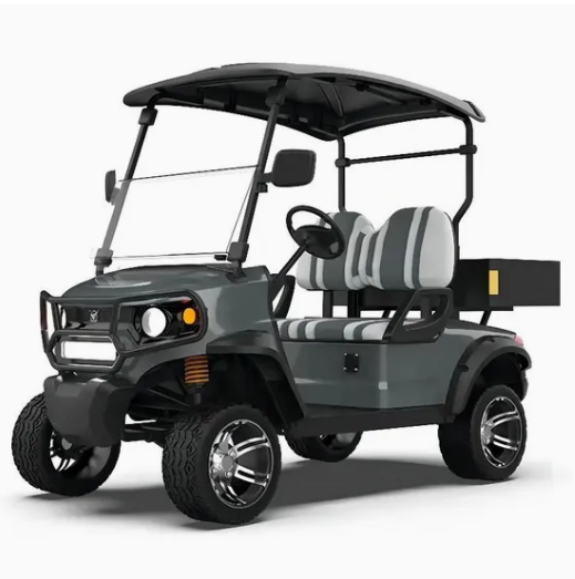 Luxury 2-Seater Electric Comfort-Oriented Golf Cart with 3500W-7500W Motor and Lithium Battery