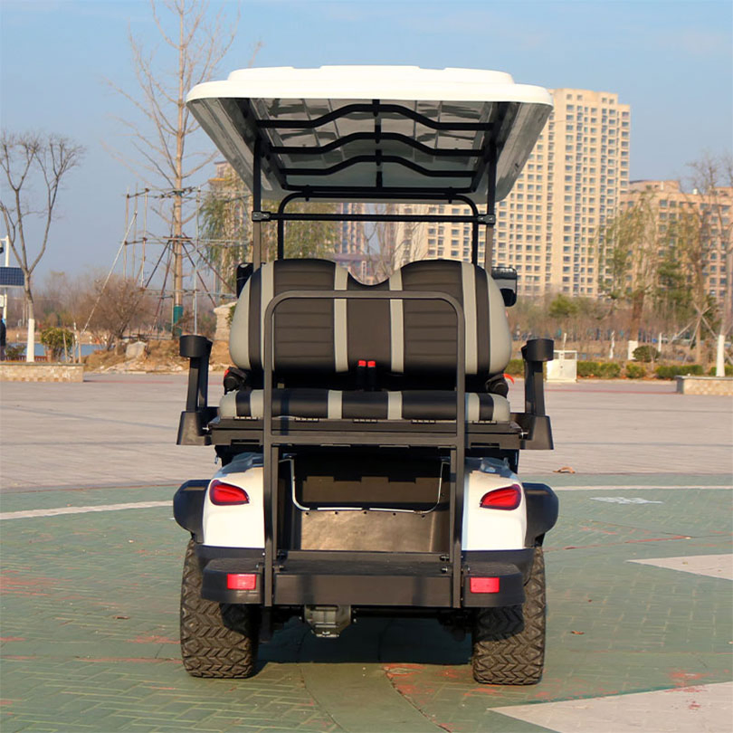 Street Legal 2/4 Seater Electric Golf Car for Personal Commute and Neighborhood Driving Golf Carts