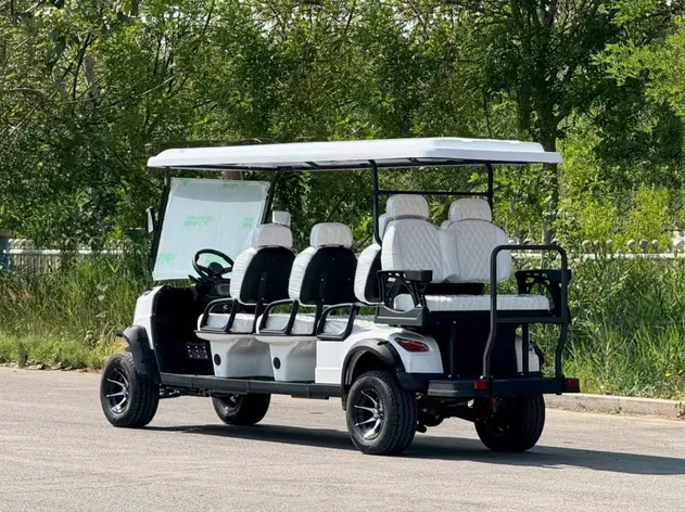 Spacious 8-Seater Golf Carts Details 2