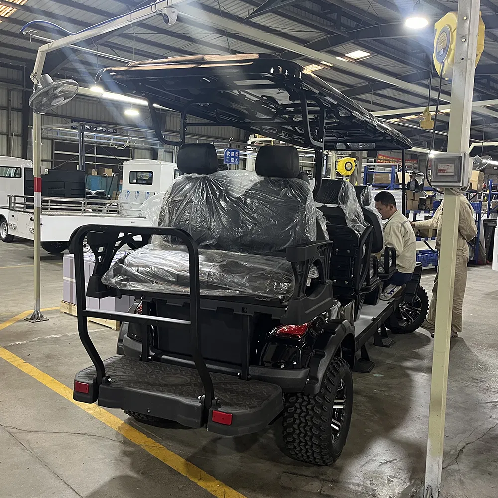 CE Custom Utility Vehicle 8 Seat Golf Cart Golf 8 Detail 7