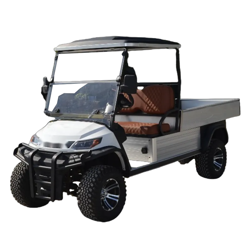 Lithium Battery 2 Seater Mini Car Golf Carts Electric with Cargo Box